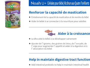Céréales pour Bébé; Riz Brun aux Quatre Tonifiants